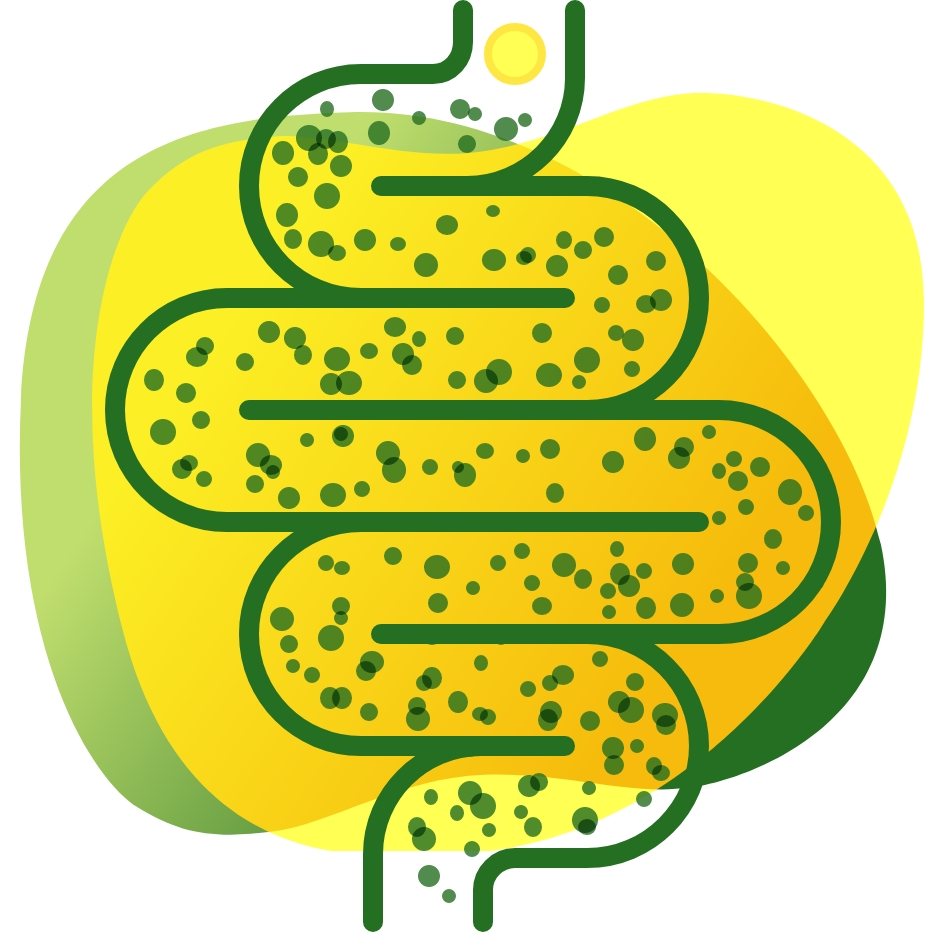 Ikona koja prikazuje crijeva s plinom